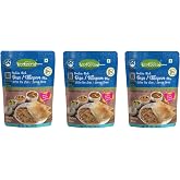 KITCHENTIAL Protein Rich Dosa/Uttapam Mix | Ready to Cook, Instant Recipe | High Protein &amp; Nutritious | Authentic Indian Breakfast, Lunch, Dinner | No Added Preservatives | Pack of 3-480 gm