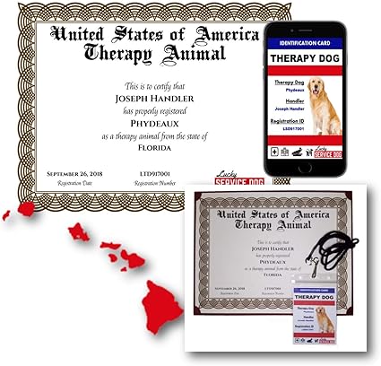 therapy animal certification