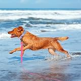 Wolfone Pink 12m Long Line Lead Waterproof Recall Training Dog Lead view 5