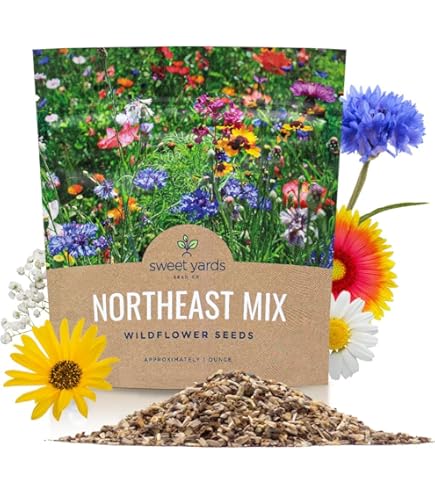 Amazon.com : Eden Brothers Massachusetts Wildflower Mixed Seeds for  Planting, 1/4 lb, 120,000+ Seeds with Catchfly, Sweet William | Attracts  Pollinators, Plant in Spring or Fall, Zones : Patio, Lawn & Garden