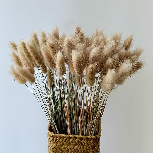 dried grass for rabbits