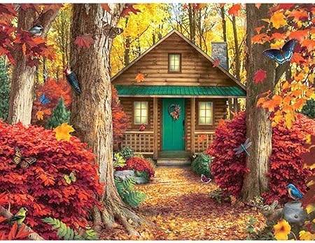 Amazon 大人の秋の風景のの絵カラフルな蝶とキツツキのある初心者の子供たちのための秋の風景40x50cm 絵具 通販
