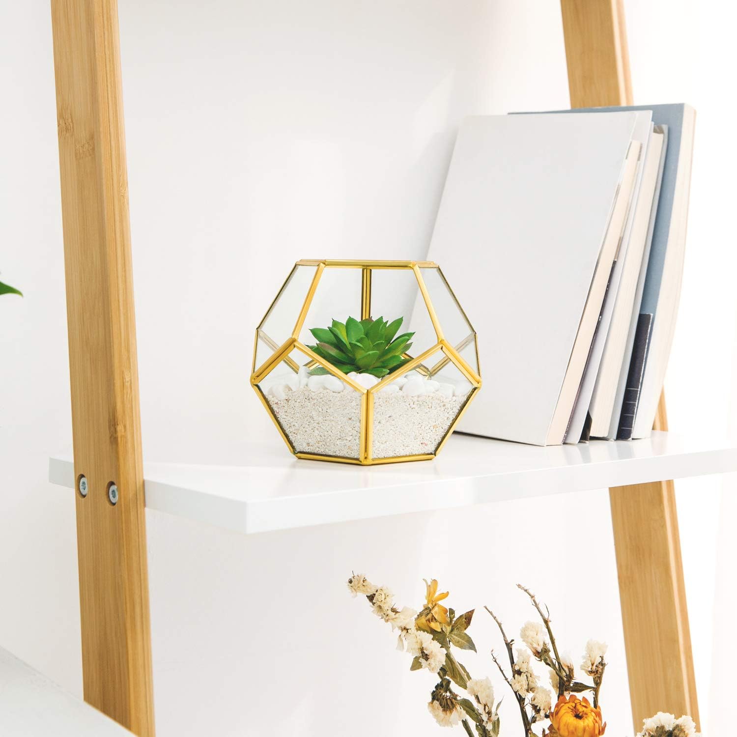 Mkono Mini Glass Geometric Terrarium Container Set of 3 Modern Tabletop Planter Windowsill Decor Shelves DIY Display Box Centerpiece Gift for Succulent Air Plant Miniature Fairy Garden, Gold, 4": Garden & Outdoor