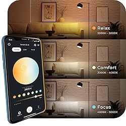Globe Electric 34207 Wi-Fi Smart 10 Watt