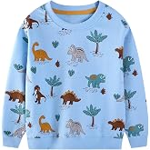Hongshilian Unisex Kids Cute Cartoon Cotton Sweater Shirt