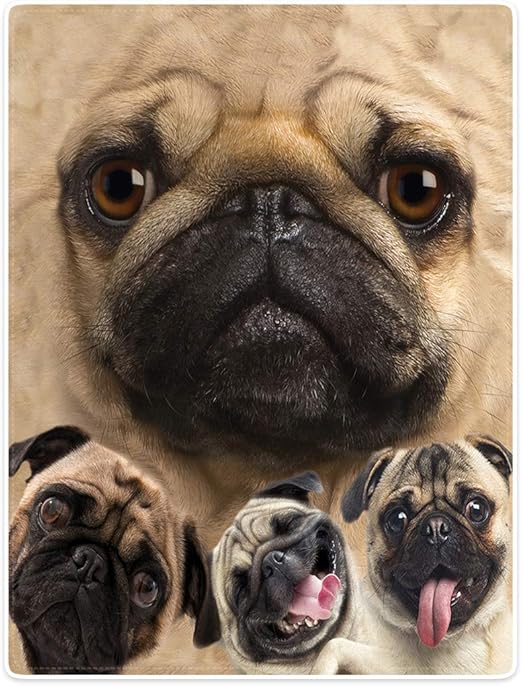 pug blanket amazon