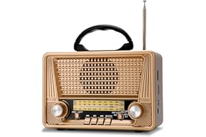 GorGetant Portable Retro Radio with Bluetooth, Small Vintage AM FM Shortwave Radio with Clear Sound, Rechargeable Battery Operated/Transistor Battery Operated Radio, TWS, Support TF Card/USB Playing