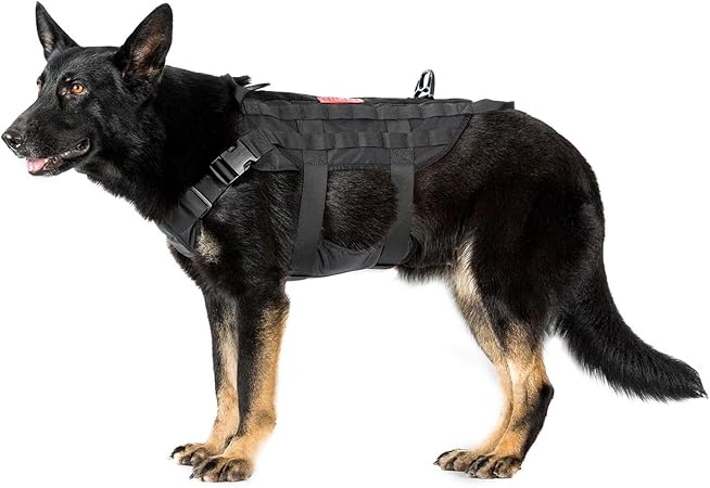 dog harness with grab handle