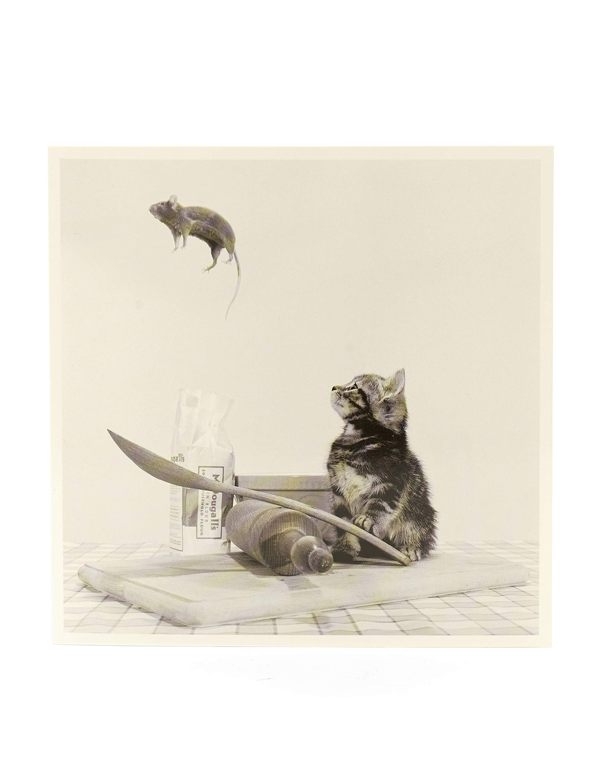 Funny Card - Card for Birthday or Any Occasion - Blank Inside - Cat and Mouse Birthday Card - Kitten Greeting Card - Humour Birthday Card