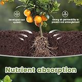 OFFCUP 3 Gallon Plant Grow Bags - 5 Pack, Breathable Fabric with Handles view 6