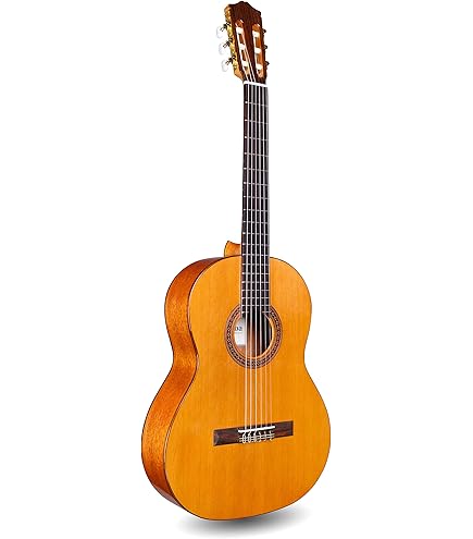 Amazon.com: Cordoba Cadete 3/4 Size Classical Acoustic Nylon