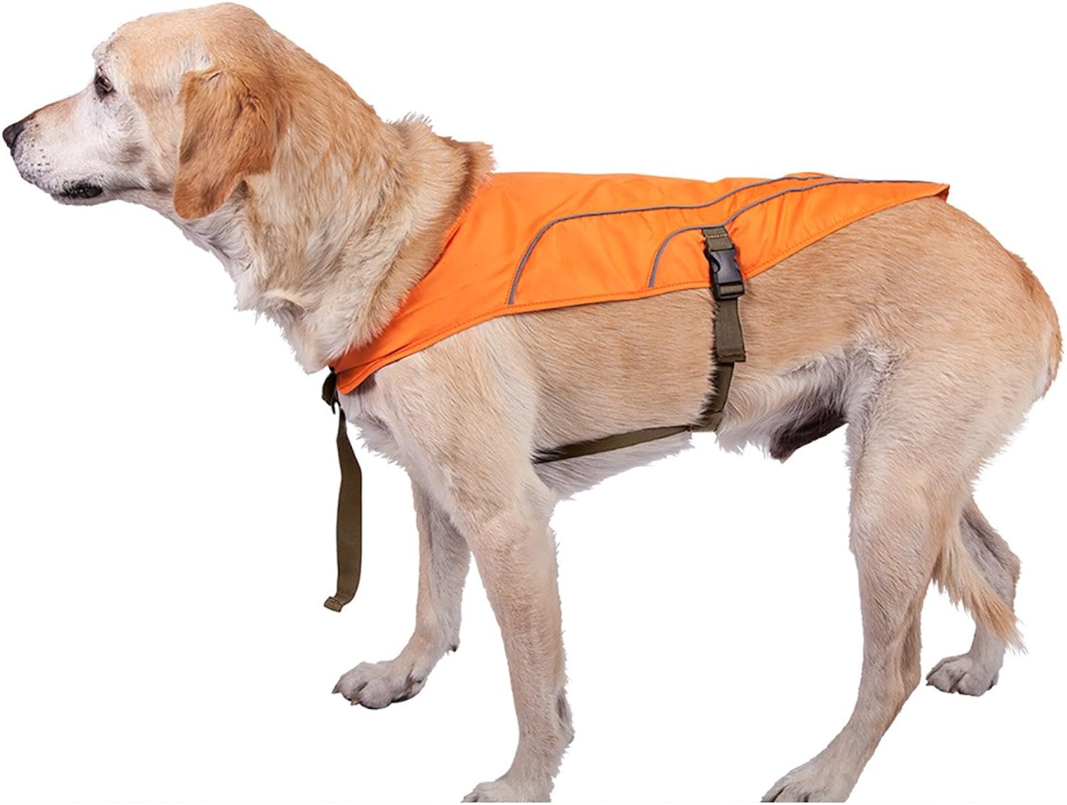 browning dog protection vest