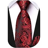 Dubulle Ties for Boys Self Tie Silk Paisely Striped Kids Necktie and Pocket Square Set for Age 8-11