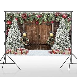 Lofaris Winter Christmas Backdrop Xmas Photography