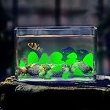 GLOCARNIVAL Glow Pebbles Green 480 pcs Outdoor Garden Pathway Rocks view 2