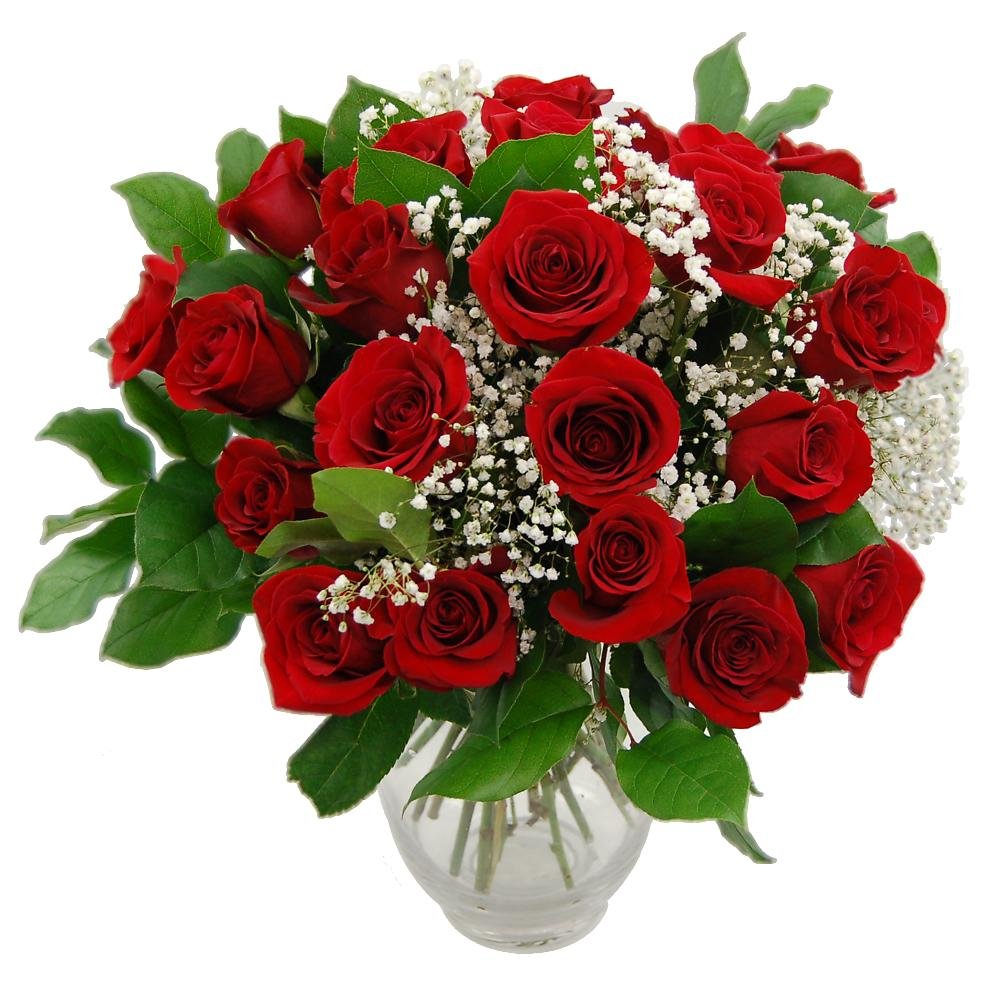Clare Florist Promised 24 Red Roses Fresh Flower Bouquet - Gorgeous Red Roses Beautifully Arranged for Special Occasions