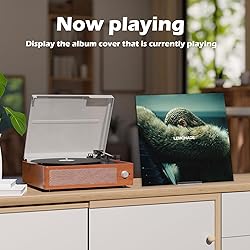 AAiphuwew 6 Pack Vinyl Record Stand Display, Clear