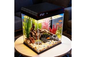 Coospider 5 Gallon Glass Fish Tank, Aquarium Starter Kit - Self-Cleaning, Ultra-Quiet Filter Pump, 3-Color LED Lights, Smart Temp Monitoring for Betta Fish, Shrimp, Kids Gift Idea
