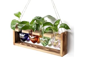 CYZglass Plants Propagation Stations Plant Terrarium Kit for Bathroom Glass Planters for Indoor Plants Bathroom Decor Accessories - Relax Soak Unwind Breathe