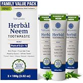 Natruveda Neem Herbal Toothpaste 3 Pack (100g Each) &ndash; Fluoride Free &amp; SLS Free Toothpaste with Neem, Miswak, Babul &amp; Vajradanti | Mint Ayurvedic Toothpaste for Fresh Breath &amp; Daily Oral Care