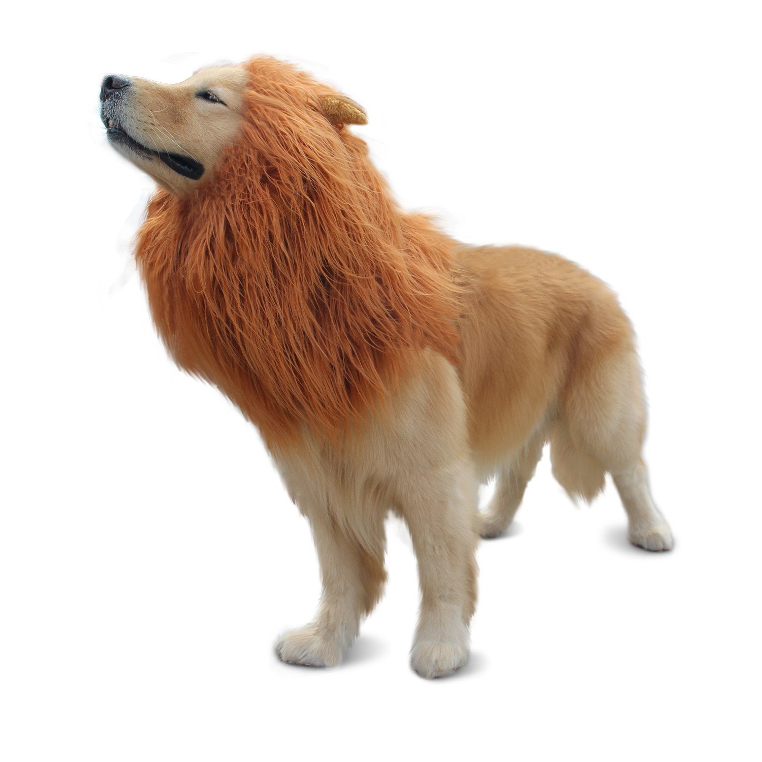 Iccker Dog Costume Lion Mane for Large Dog - Hilarious Realistic ROFL Halloween Christmas Gift for Birthday Party, (Brown)