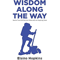 Wisdom Along The Way: Twelve True-Life Camino Tales With An Inspiring Twist book cover Wisdom Along The Way: Twelve True-Life Camino Tales With An Inspiring Twist book cover