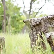 カスタマー画像