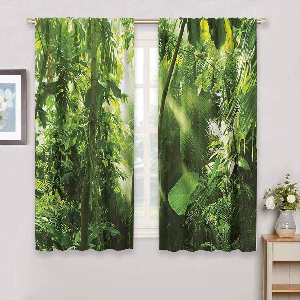 Curtains for Kitchen Farm House Decor Collection Summer Sunbeams Come into Tropical Monsoon Jungle with Bamboos Types of Plants with Leaves View Wedding Party Decorations W72 x L84