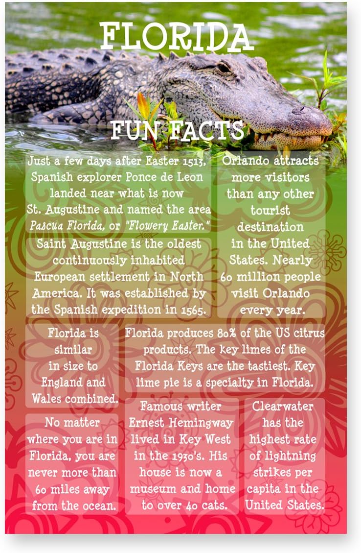 FLORIDA FUN FACTS postcard set of 20 identical postcards