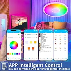 LED Ceiling Light Fixture with Bluetooth