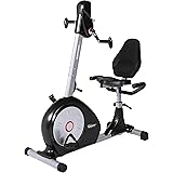 velocity exercise dual motion recumbent bike