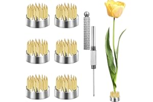 BLESKY 6 Pieces Flower Frogs Kenzan Ikebana Flower Arrangers Floral Fixed Tools Japanese Flower Pin Holder Set with 2 in 1 Kenzan Needle Straightener for Small Vase Flower Arrangement (Gold, 0.91 Inch)