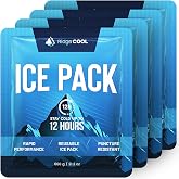 RIDGECOOL 4 Pack Large Reusable Ice Packs for Coolers, Long Lasting Freezer Packs for Cooler Bags and Insulated Totes, Leakproof, BPA-Free, Food Safe