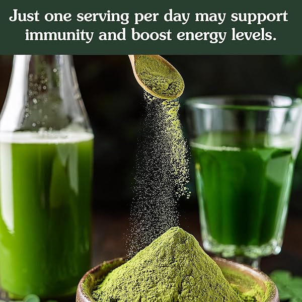ANCIENT ROOTS MORINGA POWDER 100% PURE & NATURAL, NON-GMO, GLUTEN-FREE FINELY GROUND MORINGA LEAF FOR SMOOTHIES, TEAS, AND RECIPES 10.5 OZ RESEALABLE BAG