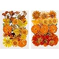 60 Pieces Fall Dried Pressed Flowers Orange Natural Dry Flowers for Crafts,Resin Mold,Scrapbooking,Candle,Soap Making,Embellishment Decorations