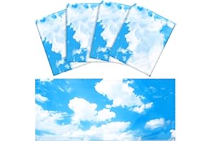 ALDMIO 4 Pcs Light Covers, Fluorescent Light Covers for Ceiling Lights, Magnetic Sky Light Shades for Ceiling 4 x 2 Feet Ceiling Light Covers for School Classroom Home Office