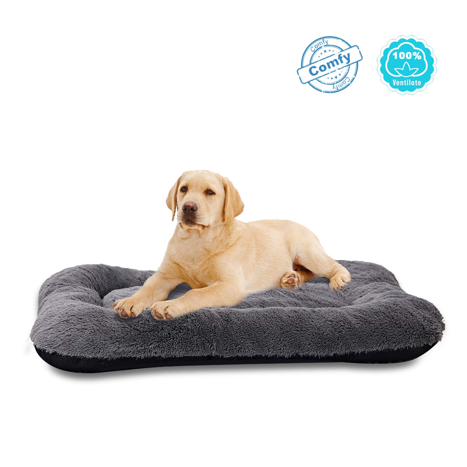 Best Cooling Dog Crate Bed Home Tech