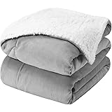 HOMEIDEAS Sherpa Blanket King Size Extra Soft Fleece Blankets for All Season Fuzzy Warm for Bed Couch 108 x 90 Inches,Light G
