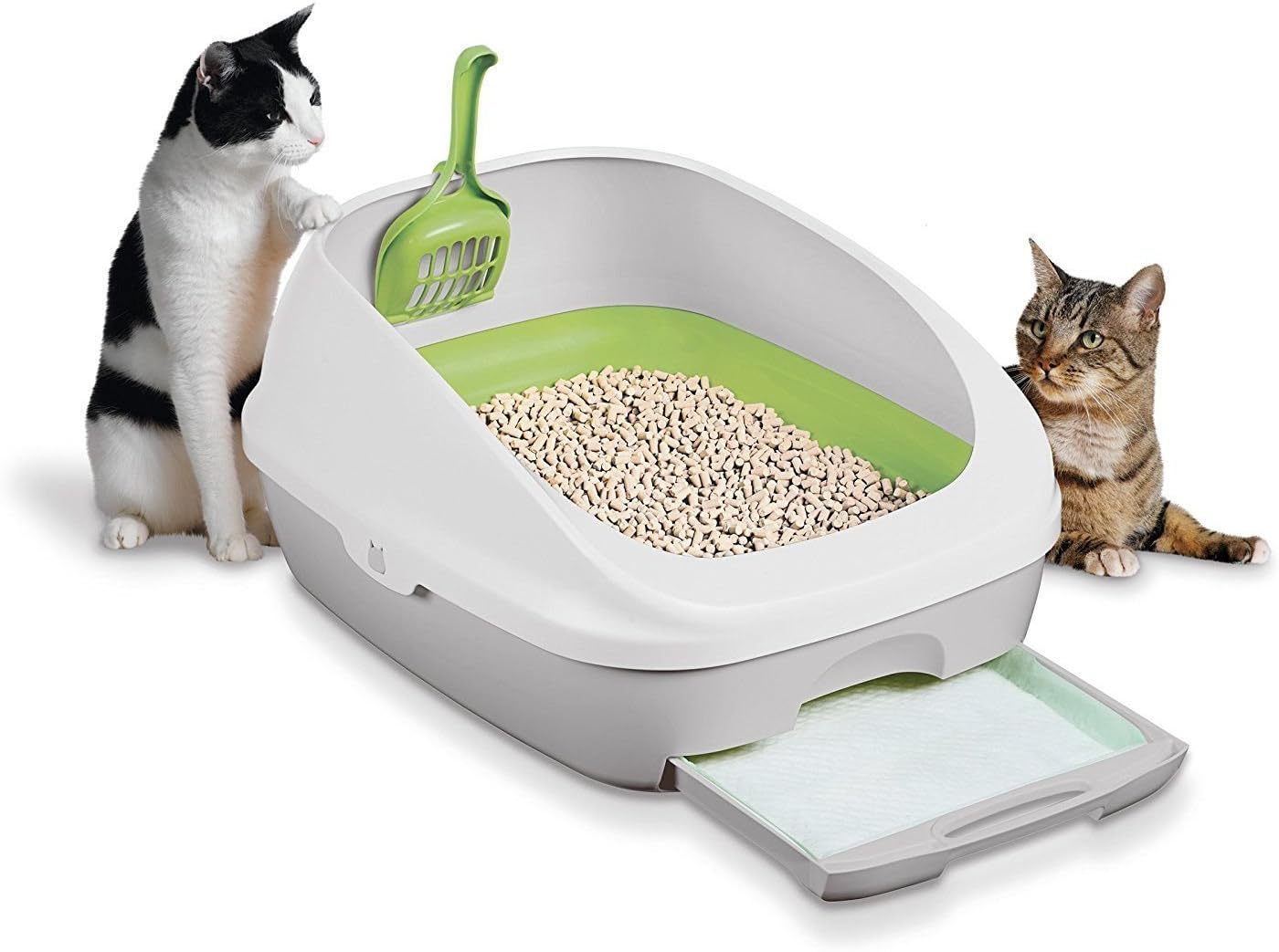 the breeze cat litter box