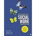 Introduction to Social Work: An Advocacy-Based Profession (Social Work in the New Century)