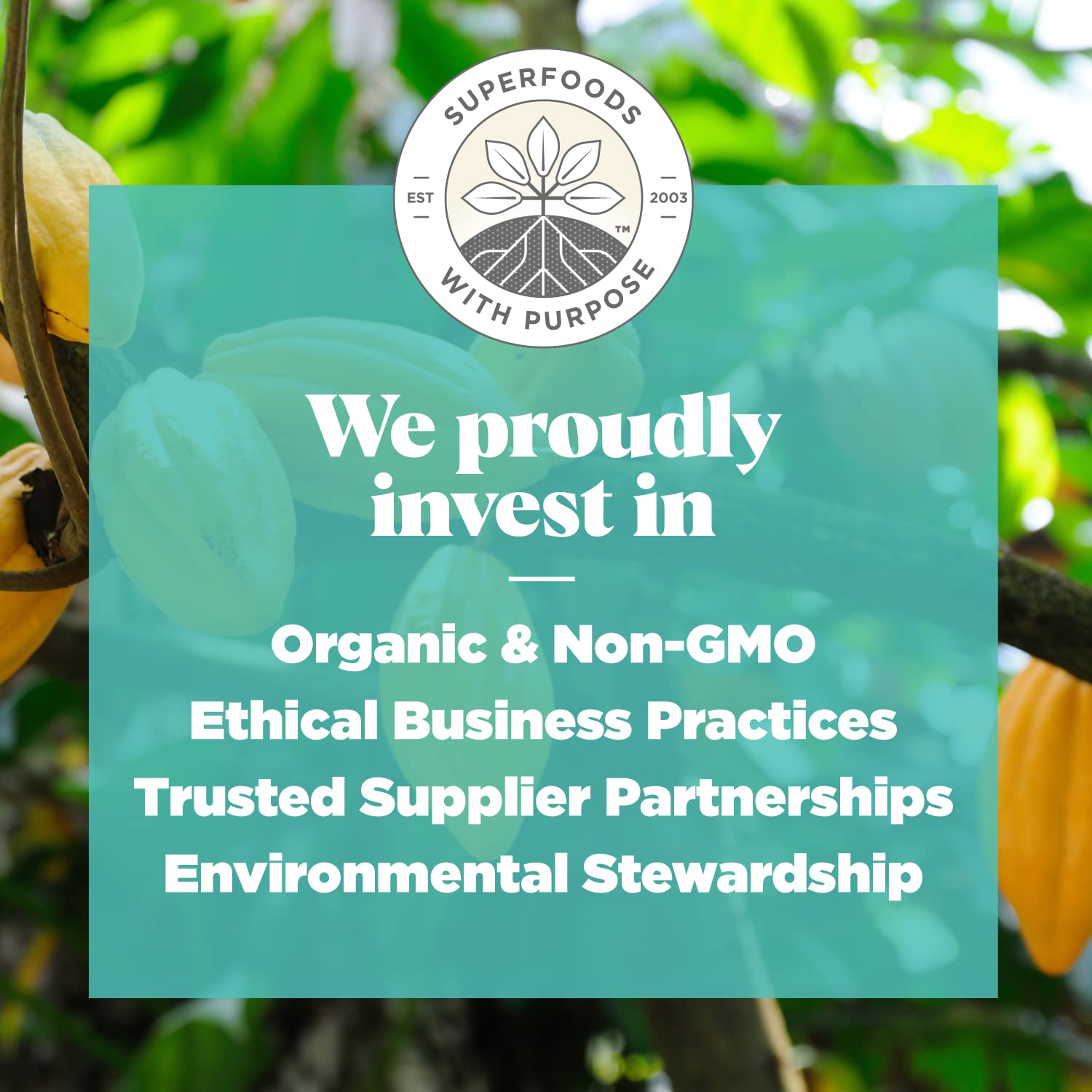 Navitas Organics Superfood Power Snacks, Cacao Goji, 16 oz. Bag, 23 Servings - Organic, Non-GMO, Gluten-Free