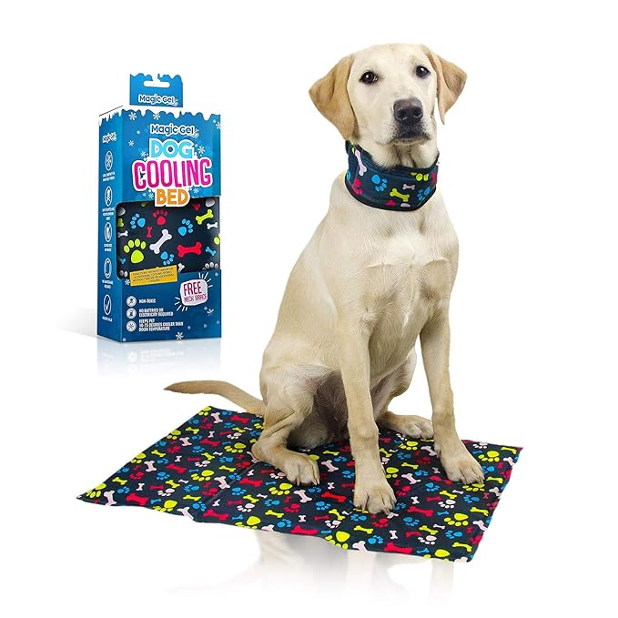 Hunde-Kühlmatte, 40 x 60 cm, inkl. kühlende Halsmanschette in Gr. M
