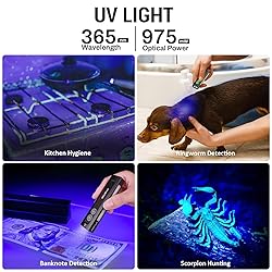 Wurkkos HD01 UV Flashlight, Rechargeable EDC
