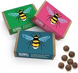 Seedball Bee Mix Wildflower Seed Bombs Pack of 3, 18 Balls UK Native view 1