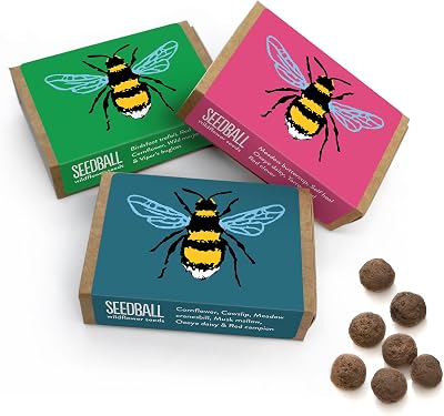 Seedball Bee Mix Wildflower Seed Bombs Pack of 3, 18 Balls UK Native