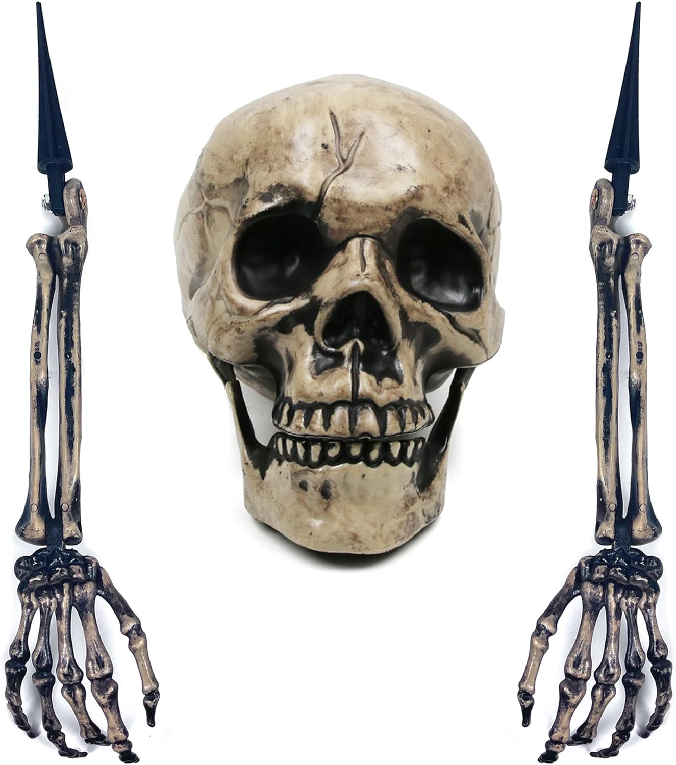 Decorative Garden Stakes - Sunnyglade Realistic Skeleton Stakes Halloween Decoration Scary Ground Breaker Skull and Skeleton for Outdoor Yard Lawn Stake Garden Graveyard Decoration