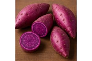 CZ GRAIN Purple Japanese Sweet Potatoes - By the Pound - Many Uses in Kitchen (3 Pounds)