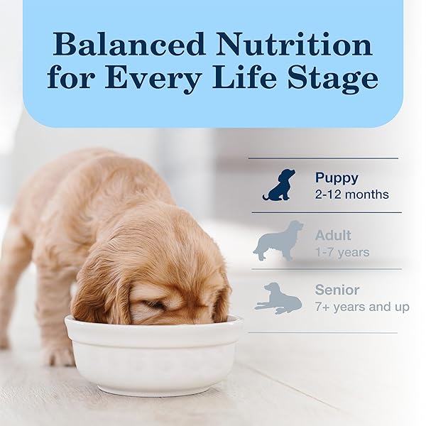 BLUE BUFFALO HOMESTYLE RECIPE PUPPY WET DOG FOOD, MADE WITH NATURAL INGREDIENTS, CHICKEN DINNER WITH GARDEN VEGETABLES & BROWN RICE, 12.5-OZ CANS (12 COUNT)