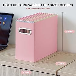 Oterri File Organizer, 2 Packs Small Storage