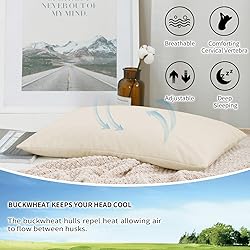 LOFE Organic Buckwheat Pillow for Sleeping